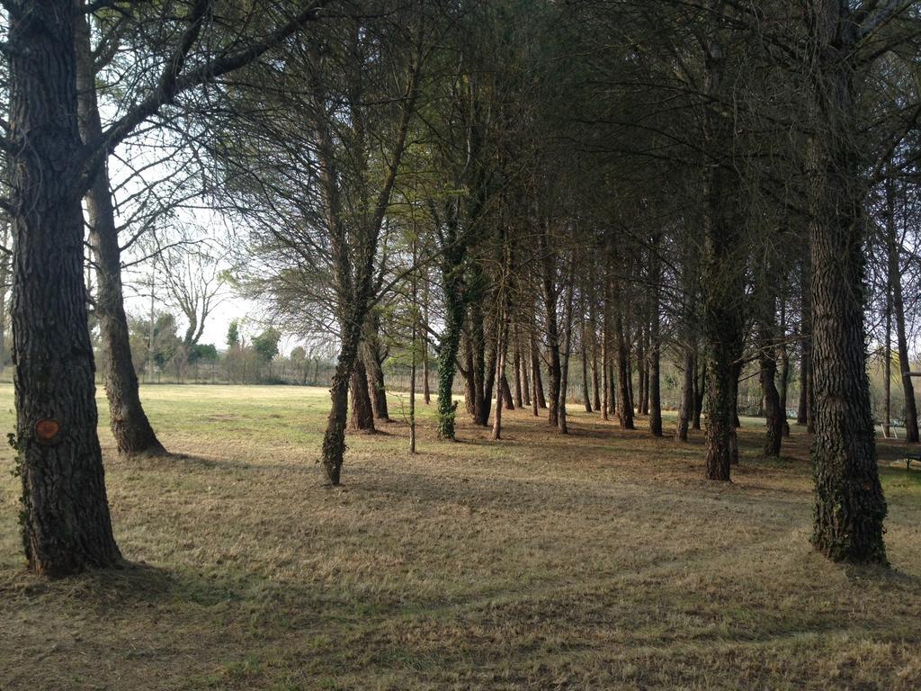 Saint-Saturnin-lès-Avignon Le Mas De Trevouse מראה חיצוני תמונה