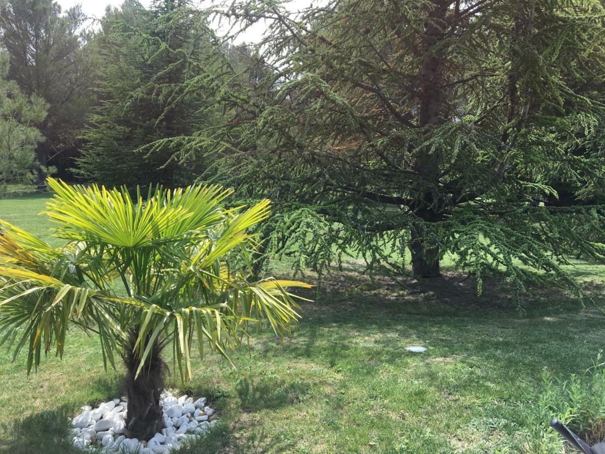 Saint-Saturnin-lès-Avignon Le Mas De Trevouse מראה חיצוני תמונה